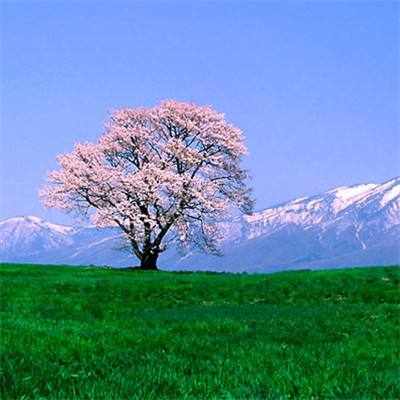 万博ManBetX客户端登录