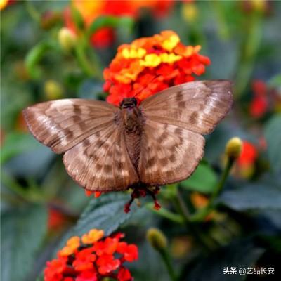 尊龙AG旗舰厅