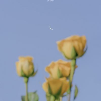 火狐·体育