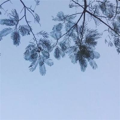 半岛·体育官网下载