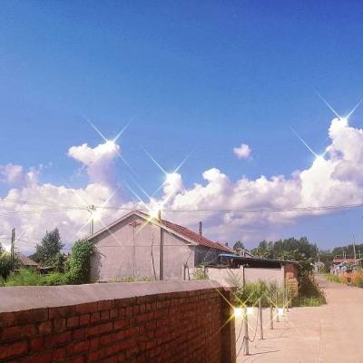 pg电子·模拟器(试玩游戏)下载手机版