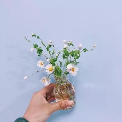 亚搏彩票app注册