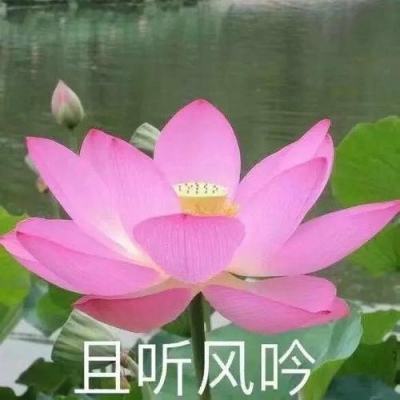 澳门·新葡澳京