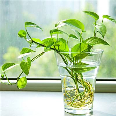 天天游戏
