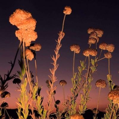 芒果体育手机app下载
