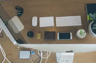 迷你主机性价比，性价比之王，探索各大品牌迷你主机的性能与价格