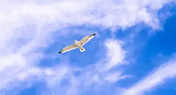 注册域名卖钱很暴利吗为什么，揭秘，注册域名卖钱的暴利真相