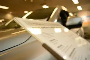 云服务代理公司优势，云服务代理，助力企业数字化转型，实现高效运营与创新发展