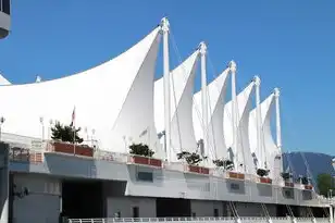搭建vps主机教程，从零开始，VPS主机搭建全攻略