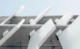 中文域名注册费用标准,中文域名注册费用标准详解,全面解析与指南