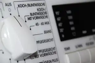 湖南服务器租用，湖南服务器租用，专业、高效、安全的选择