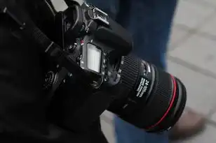 虚拟机内存映射到物理机内存怎么实现的，虚拟机内存映射到物理机内存的实现方法探讨