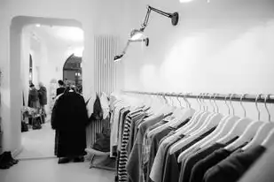 国产服务器有哪些品牌好用，国产服务器品牌推荐，性能卓越，性价比高的选择
