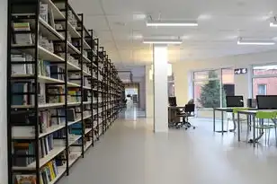 服务器空间满了会造成什么影响，服务器空间满的影响及应对措施