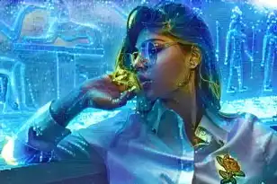 梦幻一个服务器多少人算爆满，梦幻西游，服务器容量与玩家体验