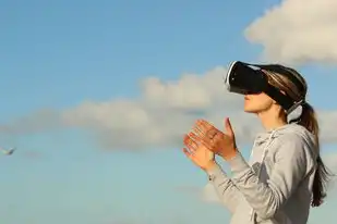 海外 vps，海外VPS云服务器使用指南，搭建高效稳定的网络环境