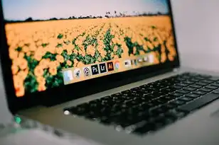 金蝶软件只能用一台电脑吗，金蝶会计软件，是否必须使用两台电脑？