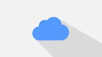 云服务VPC，云服务VPS，构建高效、安全、可扩展的网络环境