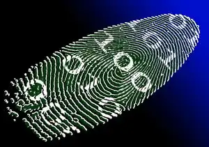 java版生存服务器，深入解析Java版生存服务器的搭建与优化技巧