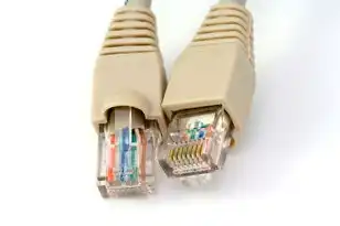 国内服务器租用价格表，国内服务器租用哪家好，全面解析与推荐