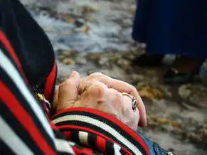 幻兽新地图，幻兽帕鲁新地图服务器搭建指南