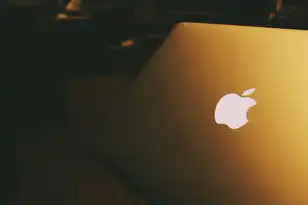 苹果笔记本怎么当主机用啊，苹果笔记本如何作为主机使用