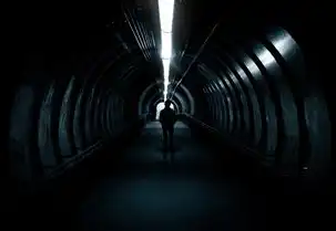 海康威视存储服务器下载什么软件，海康威视存储服务器下载指南，全面解析与操作流程