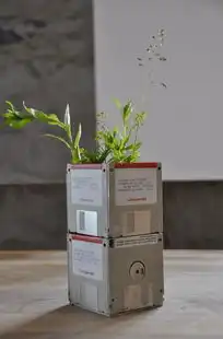 kvm虚拟机ping不通网关，KVM虚拟机ping不通外网，从网络配置到故障排查的全面解析