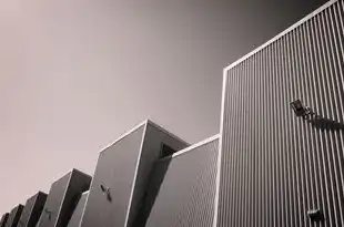 物理服务器的优缺点，物理服务器的形态与功能解析