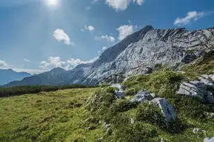 域名未通过注册局审批，域名注册遇阻，未通过国家批复注册机构的困境与应对策略