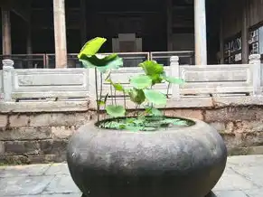 云主机和云桌面的用途和区别，云主机与云桌面，探索云计算时代的双重选择