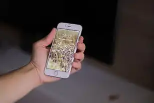 虚拟机能识别u盘吗，虚拟机能否识别U盘？