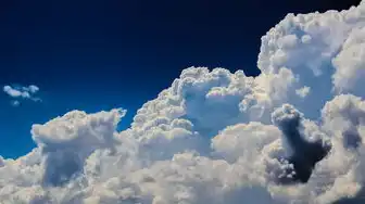 云主机是干什么的，云主机的定义与功能解析，开启数字时代新篇章