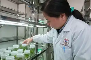 检查服务器都需要检查什么，全面解析服务器设备的检查与维护