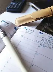 天联高级版服务器环境完整性检查与优化策略探讨