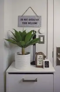 家里用服务器怎么样才能用，家庭服务器使用指南，如何在家中搭建并高效运行