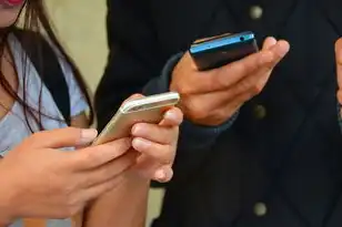 如何查询域名注册人联系方式，如何查询域名注册人联系方式，全面指南与技巧分享