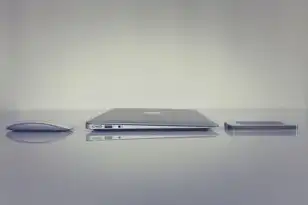 服务器可以玩什么，冷门服务器选择指南，探索未受关注的乐趣