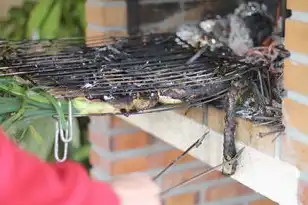 阿里在新加坡的公司招聘信息，事件回顾，阿里新加坡服务器突发火灾