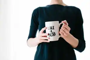 java我的世界服务器ip大全，全面解析Java我的世界服务器IP大全，畅游虚拟世界，探索无限可能