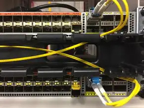 阿里云云服务器pi节点独立运行，阿里云云服务器500TB，打造高效稳定的PI节点集群