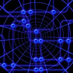 服务器的作用和功能介绍图，服务器，现代网络世界的核心枢纽