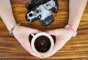 水冷主机和油冷主机哪个好一点,水冷主机与油冷主机的性能对比分析