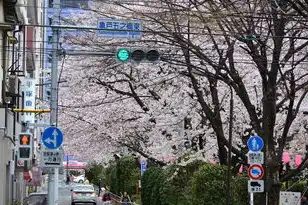 日本樱花服务器推荐使用,日本樱花服务器推荐,探索宁静而美丽的网络世界