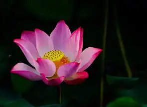 电脑主机第四个红色灯闪烁怎么回事，电脑主机第四个红色灯闪烁原因及解决方法详解