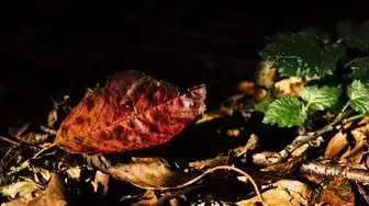 电脑主机第四个红色灯闪烁怎么回事，电脑主机第四个红色灯闪烁原因及解决方法详解