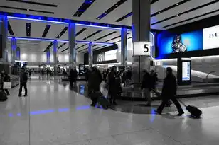华为公司服务器硬件供应商有哪些，华为公司服务器硬件供应商揭秘，产业链布局与合作伙伴详解