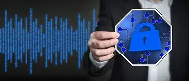 信息安全的保护对象主要是计算机硬件软件和什么，信息安全保护的多重维度，硬件、软件与数据安全