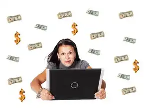 云服务怎么赚钱，揭秘云服务盈利模式，多元化策略助力企业掘金数字经济时代