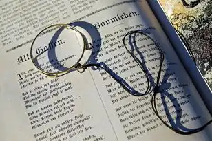 怎么查域名是谁注册的啊手机,轻松掌握域名查询技巧,揭秘域名注册者信息,让你一网打尽!